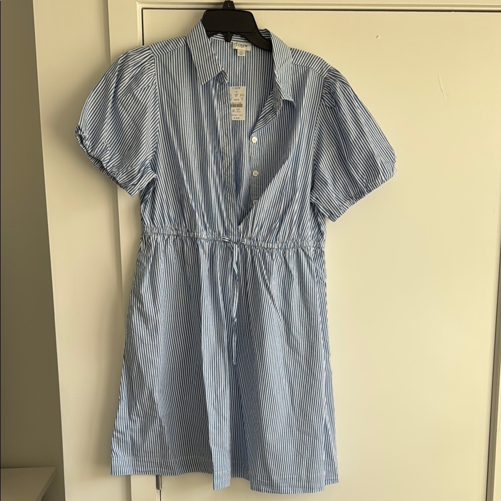J. Crew Blue and White Pinstripe Dress